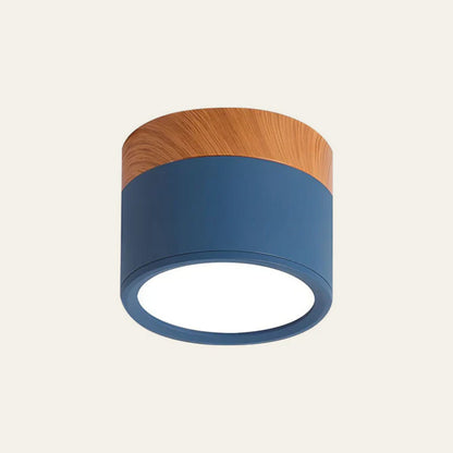 Cylindrical LED Ceiling Light