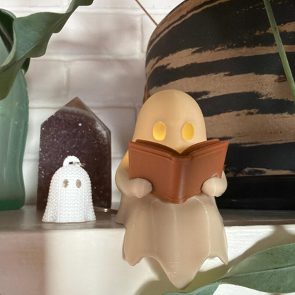 Reading Ghost Decoration