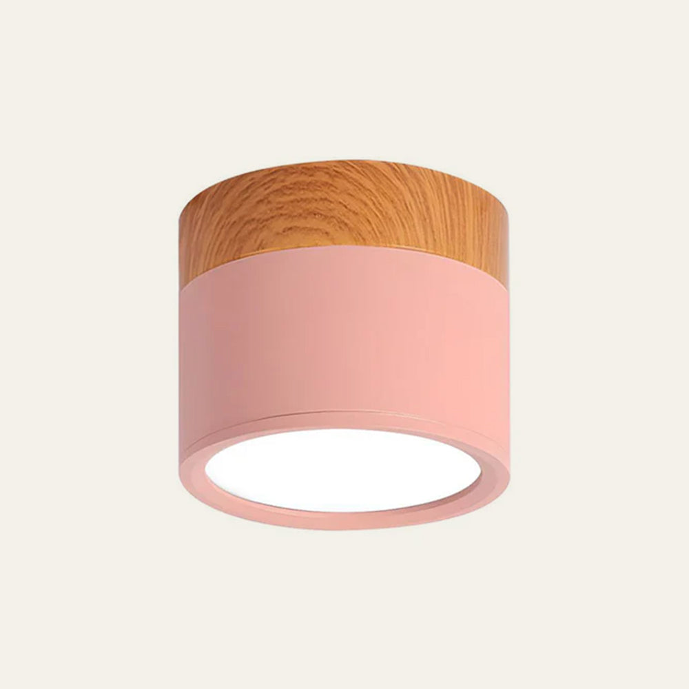 Cylindrical LED Ceiling Light