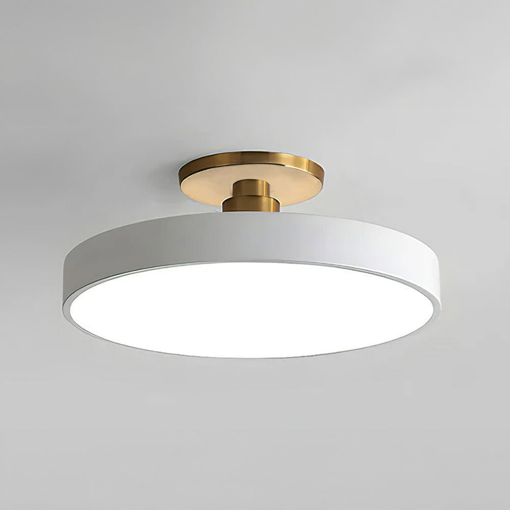 Metallic LED Ceiling Light