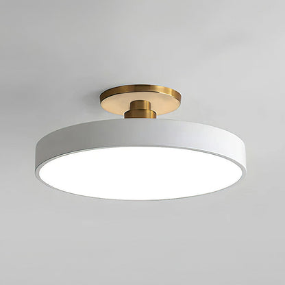 Metallic LED Ceiling Light