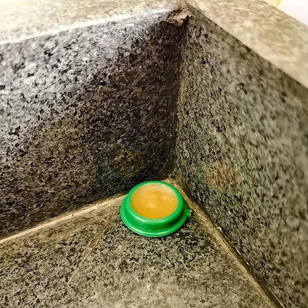 InsectoStop™ | Roach Repellent