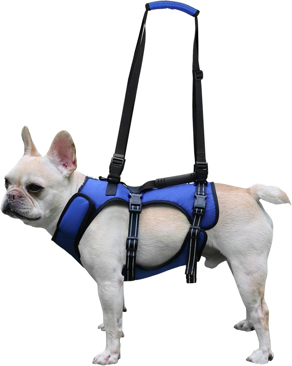 Dog Lift Harness, Full Body Support & Recovery Sling, Pet Rehabilitation Lifts Vest Adjustable Breathable Straps for Old, Disabled, Joint Injuries, Arthritis, Paralysis Dogs Walk (Blue, S) Collars Dogs Harnesses Harnesses & Leashes Pet Supplies Vest Harnesses