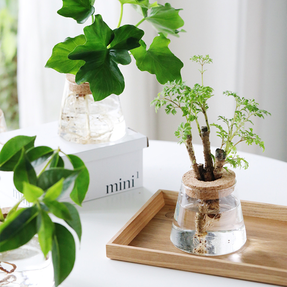 Glass Vase Planter