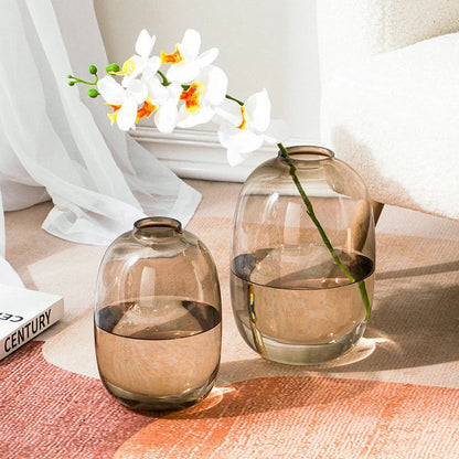 Minimalist Tinted Oval Glass Vase