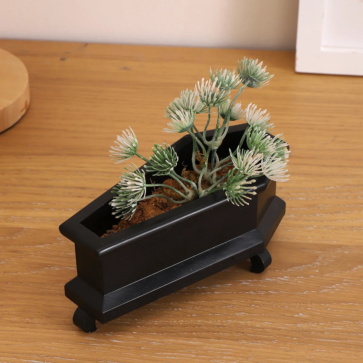 Coffin Mini Planter