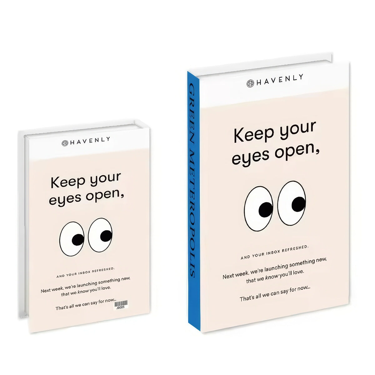 Ästhetische Raumdekoration Buchförmige Box