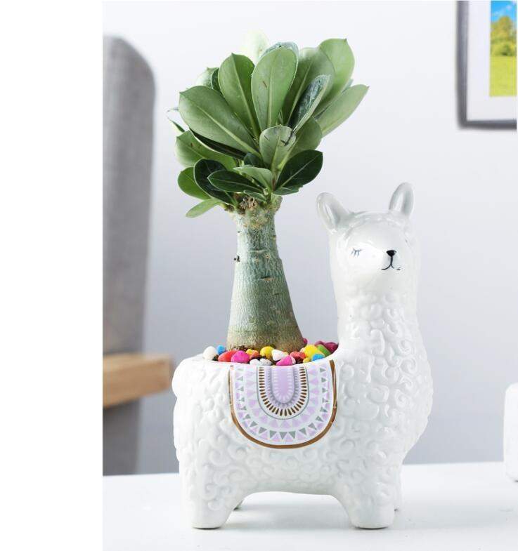 Alpaca Flower Pots