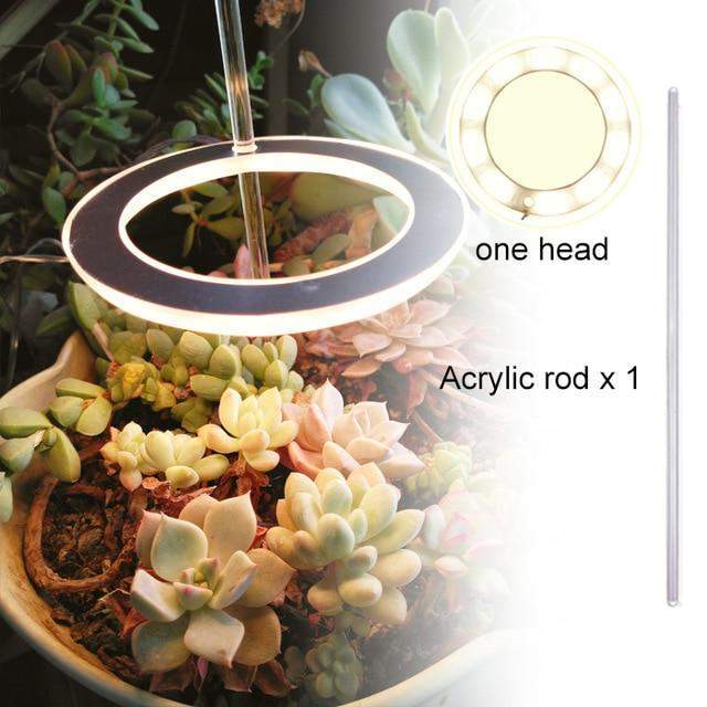 Angel Halo Grow Light