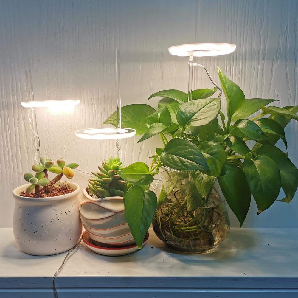 Angel Halo Grow Light