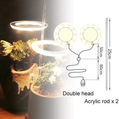 Angel Halo Grow Light