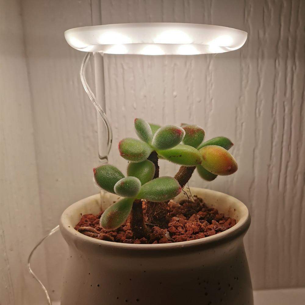 Angel Halo Grow Light