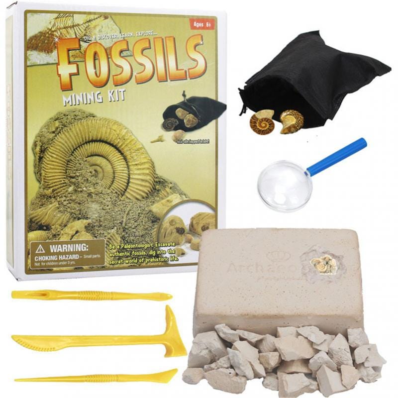 Kit de Exploración Arqueológica y Minería