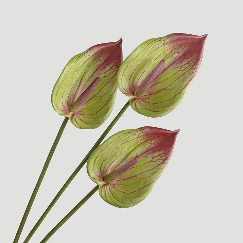 Fiore artificiale di Anthurium