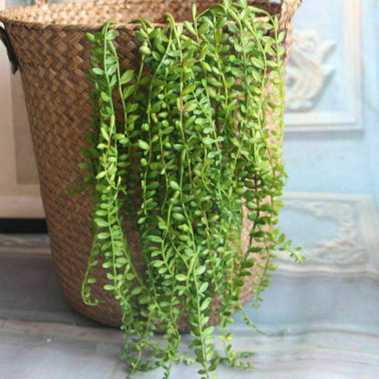 Artificial Plant Of Pearls Tears Plant