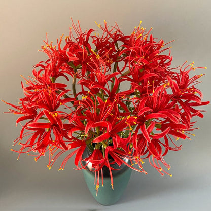 Artificial Spider Lily Flower Branch