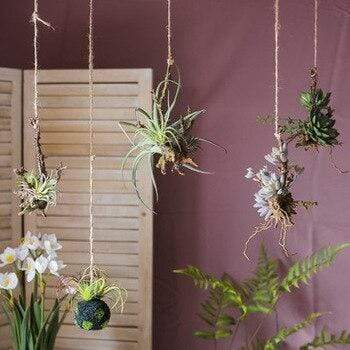 Pianta artificiale di Tillandsia Air