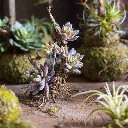 Pianta artificiale di Tillandsia Air