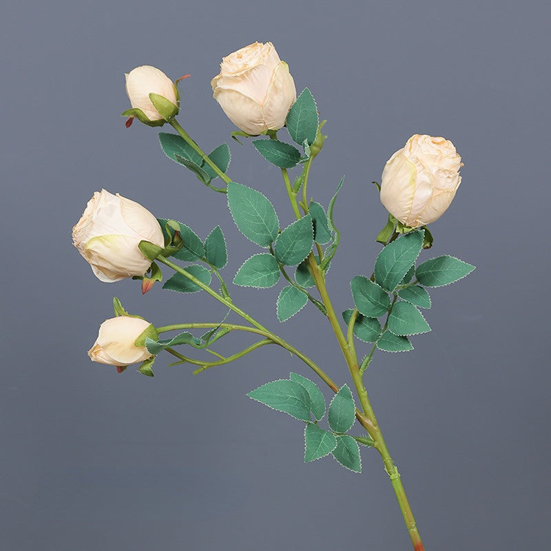 5 Kopf Rose Seide Blume