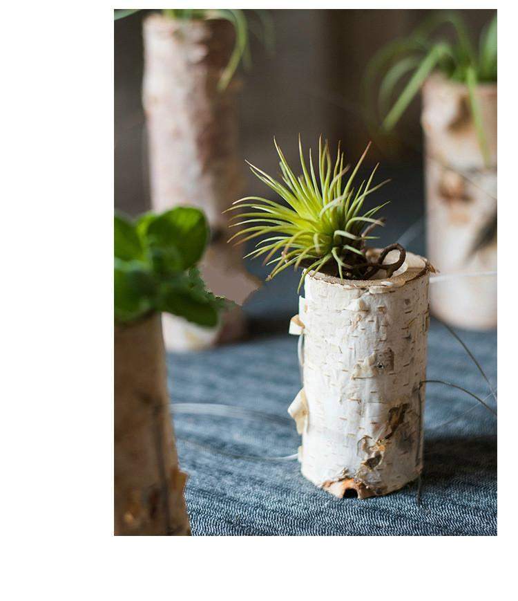 Pots de fleurs en bois de bouleau