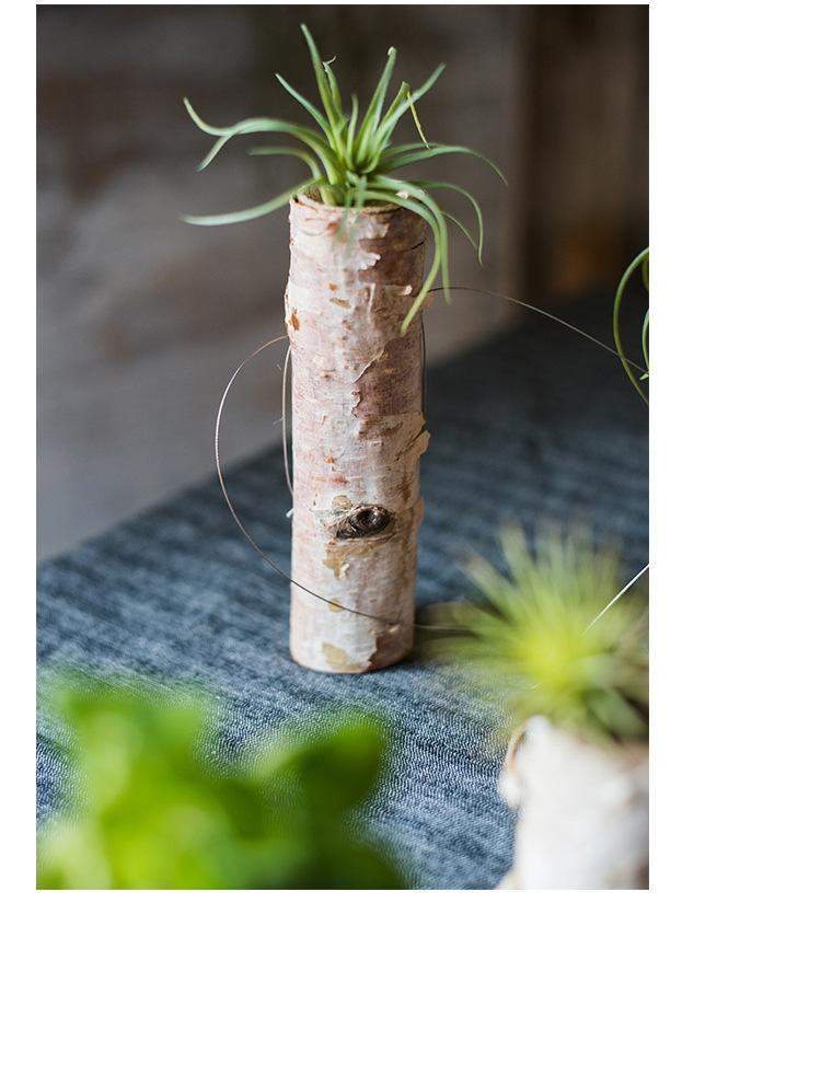 Pots de fleurs en bois de bouleau