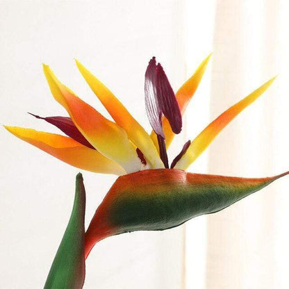 Bird of Paradise Branch