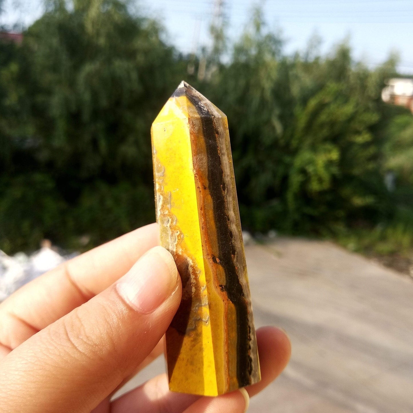 Bumblebee Jasper Crystal