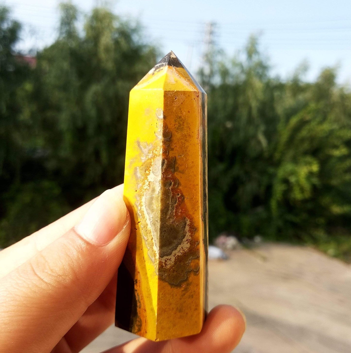 Bumblebee Jasper Crystal