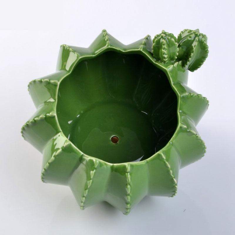 Vaso da fiori in ceramica di cactus