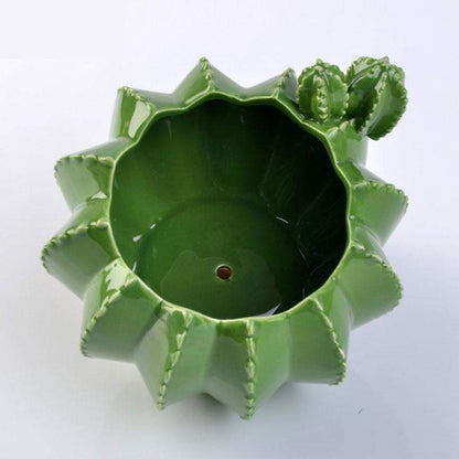 Cactus Ceramic Flower Pot