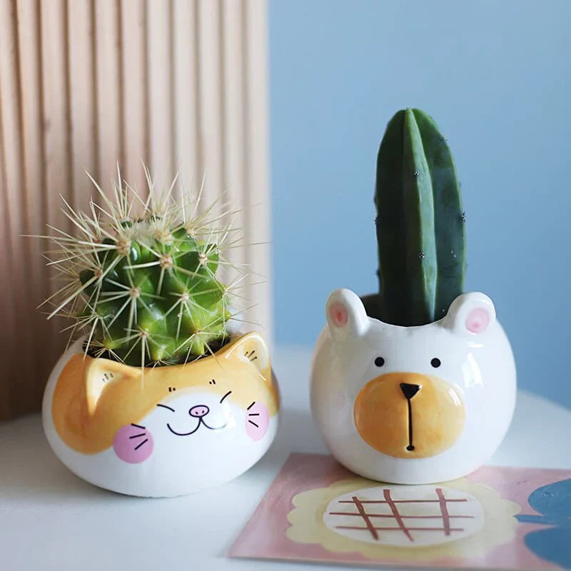 Cartoon Animal Succulent Pot