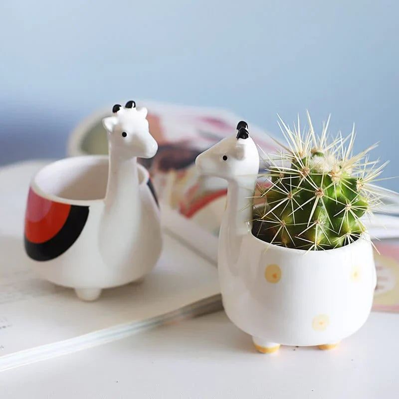 Cartoon Animal Succulent Pot