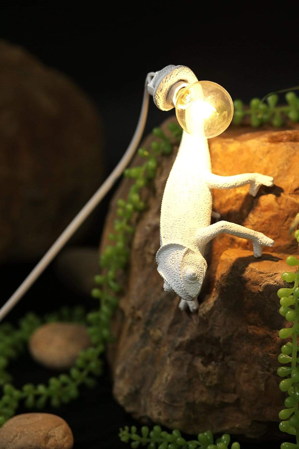 Chameleon Wall Lamp