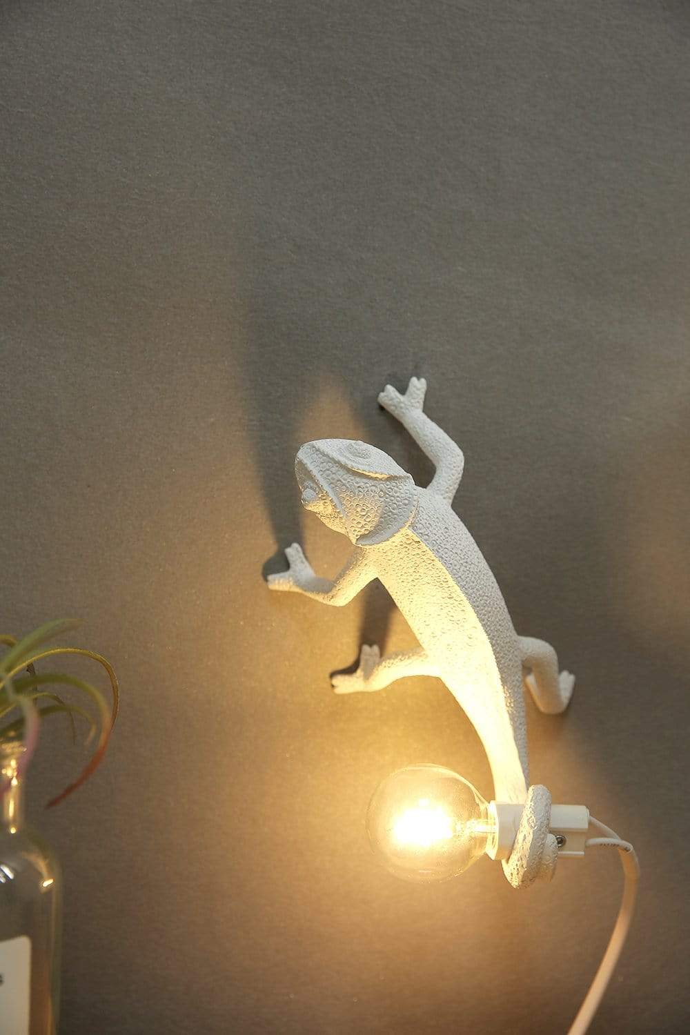 Chameleon Wall Lamp