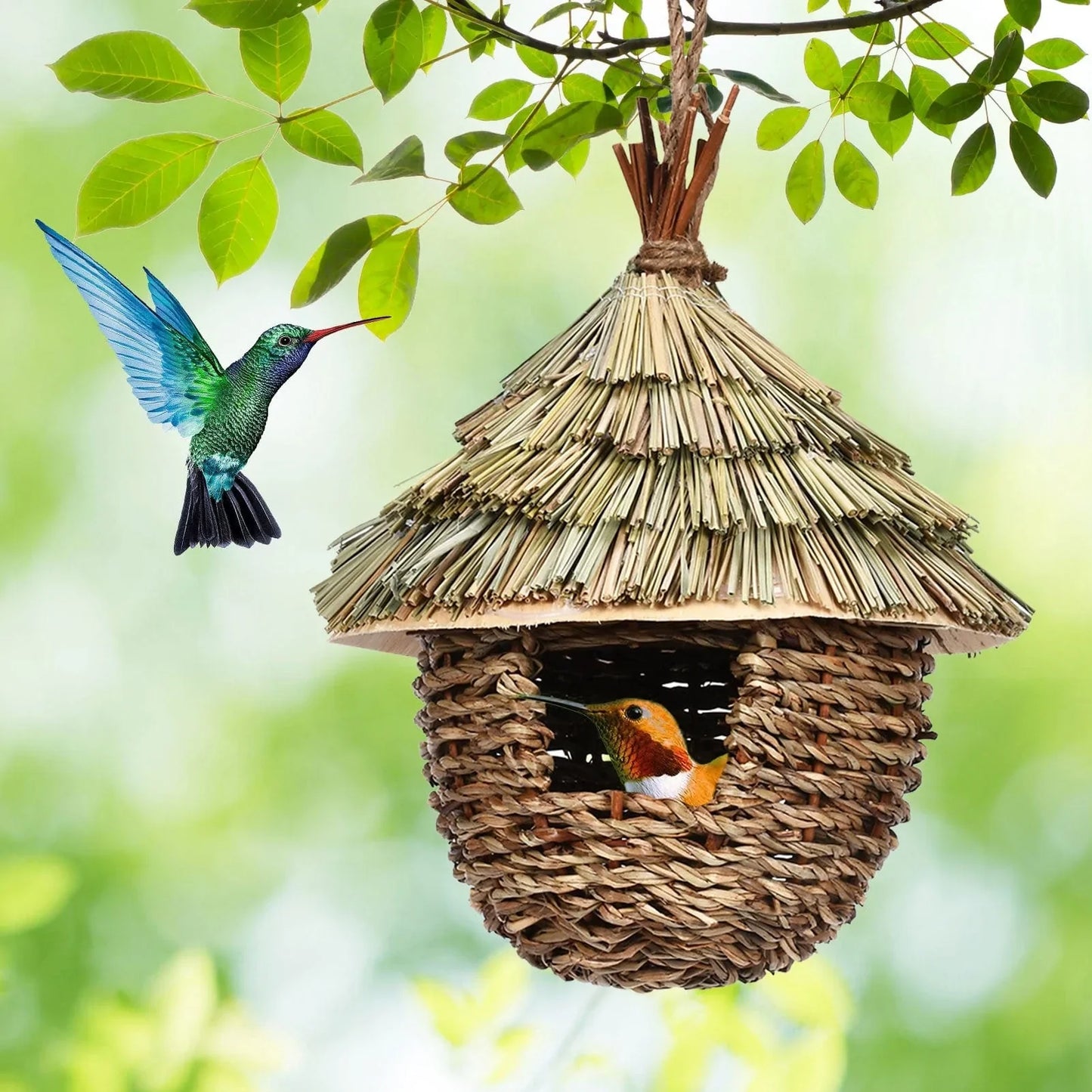 Charming Hummingbird Nest