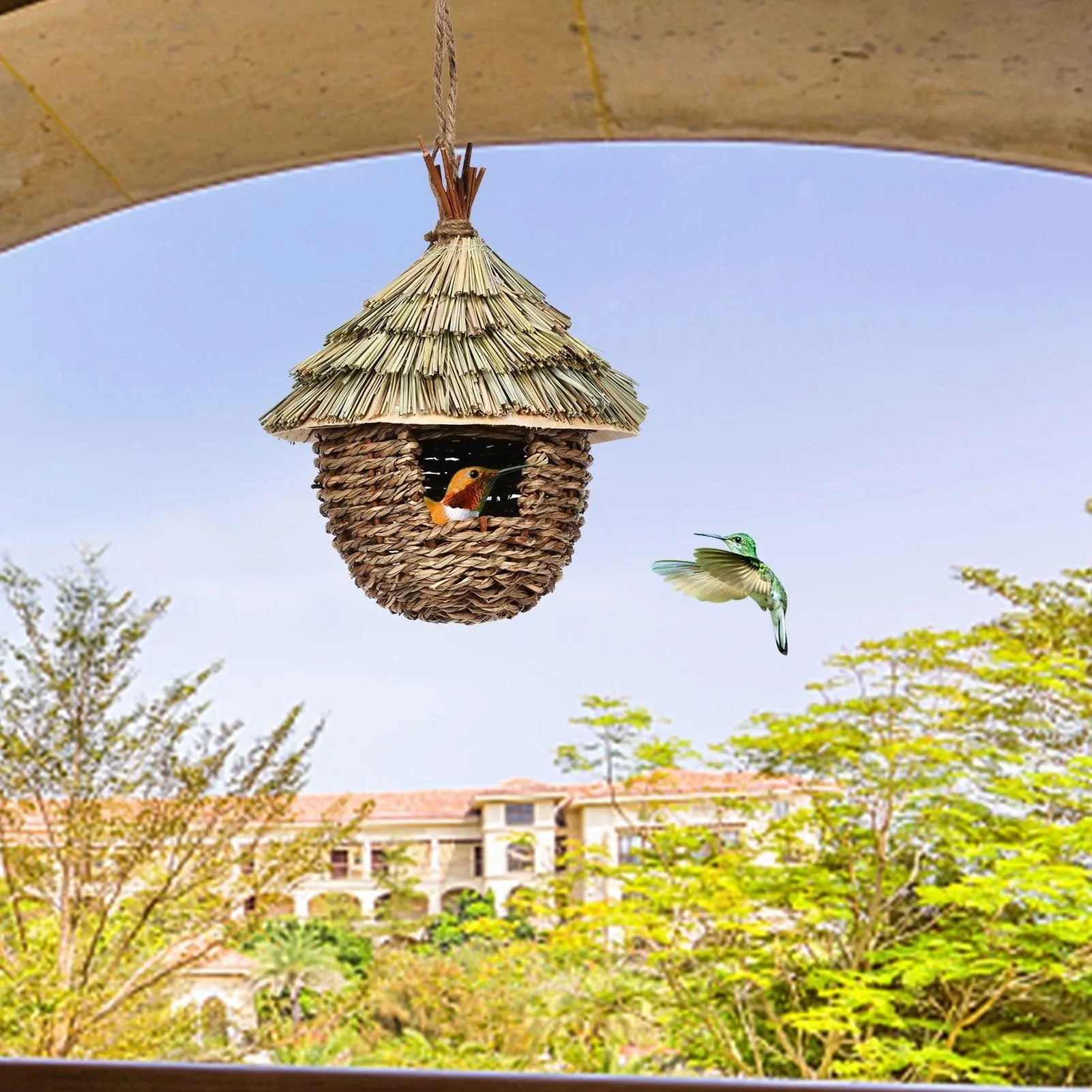 Charming Hummingbird Nest