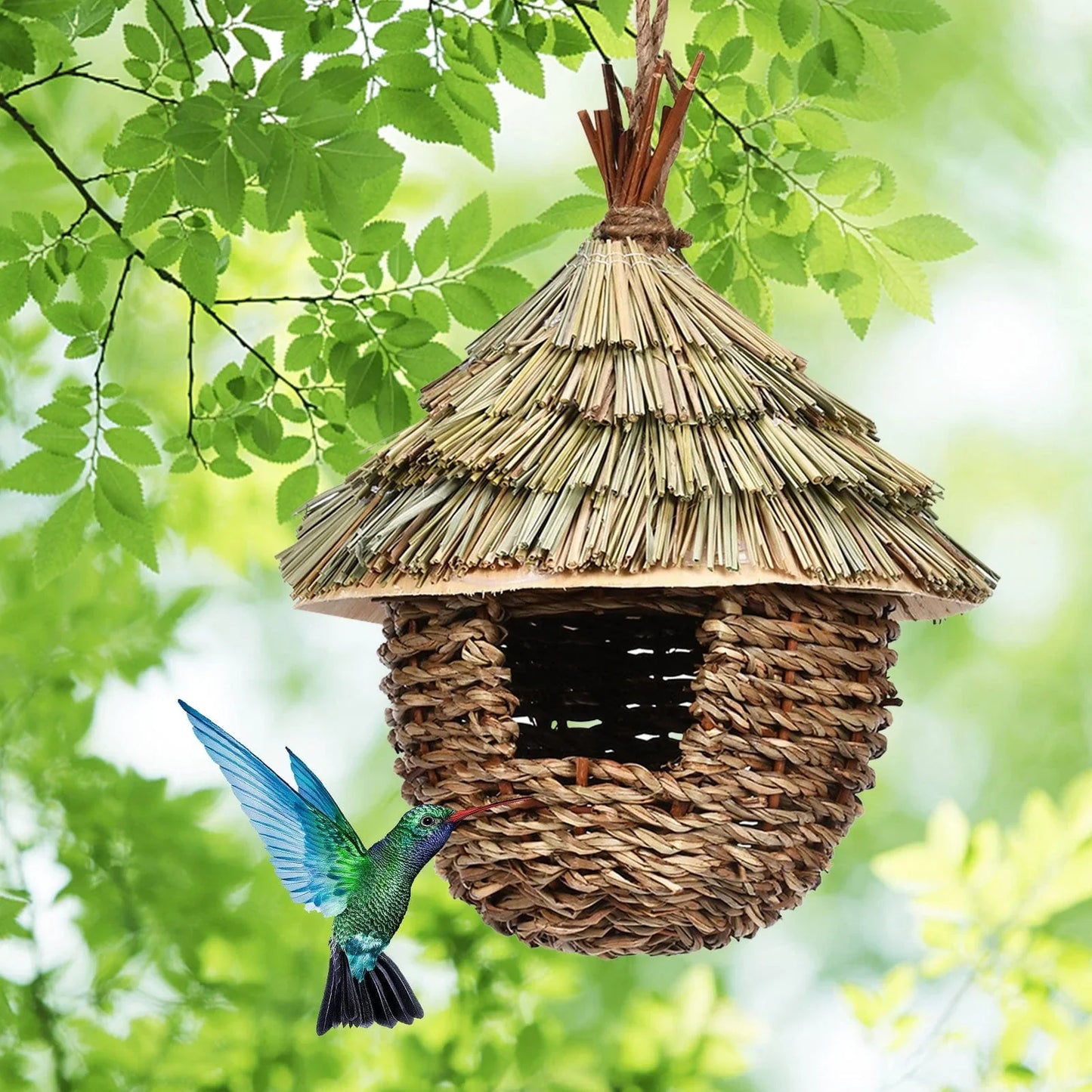 Charming Hummingbird Nest