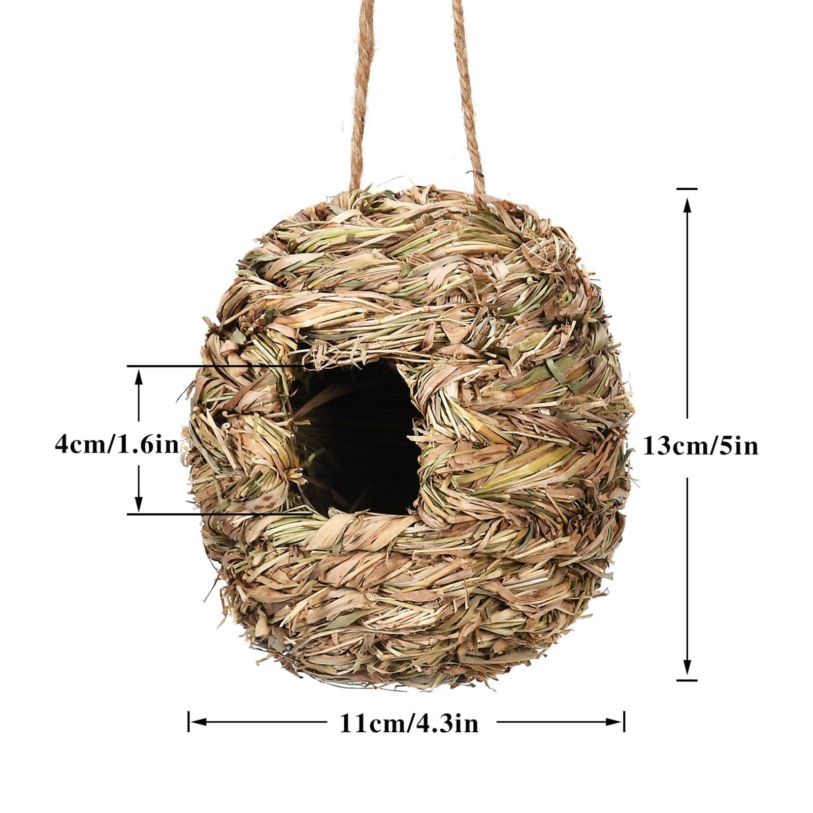 Charming Hummingbird Nest