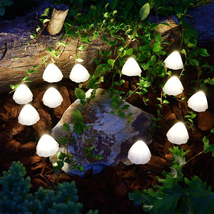 Charming Solar Garden Lights