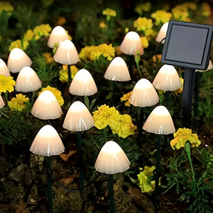 Charming Solar Garden Lights