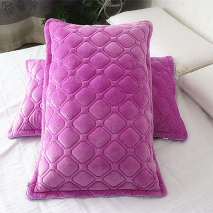 Chrisette 2 Pcs Crystal Velvet Pillowcase