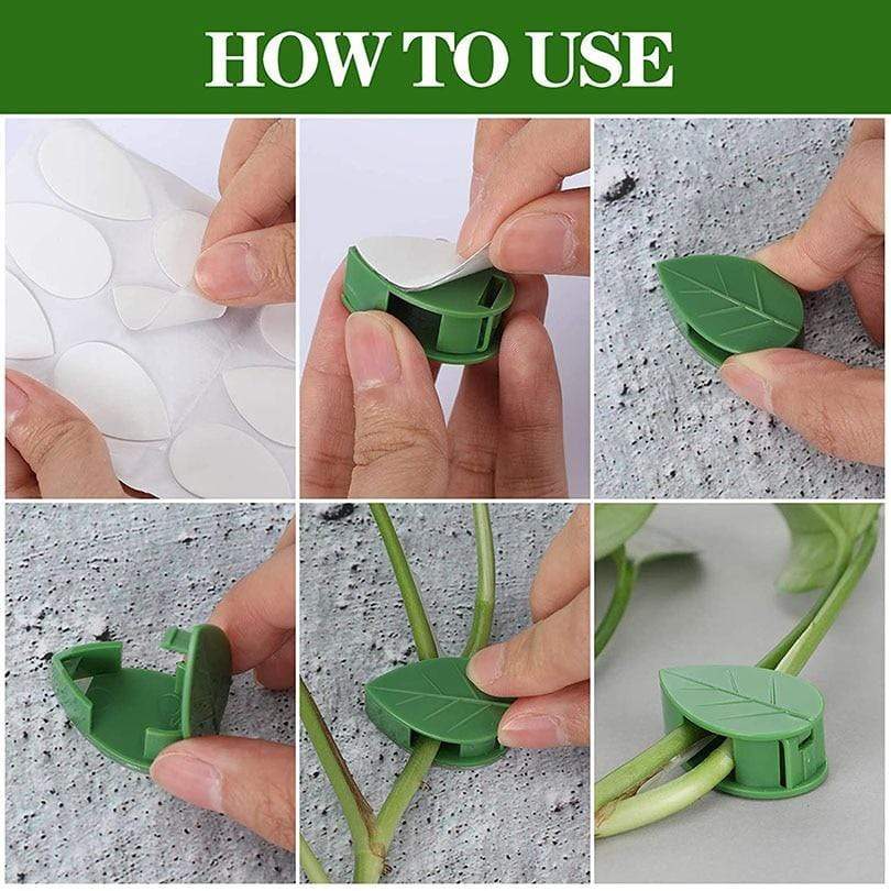 Climbing Plant Artifact Fixing Clip