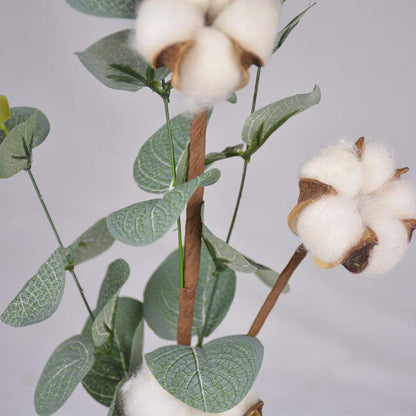 Cotton Flower Stem