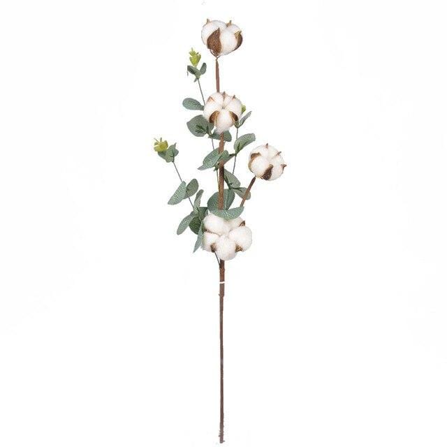 Cotton Flower Stem