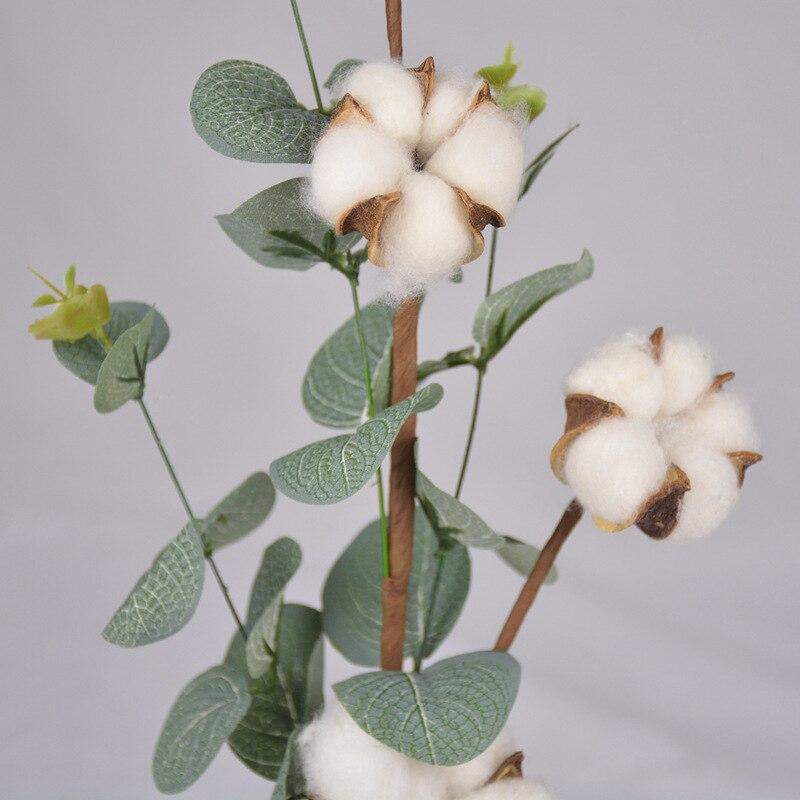 Cotton Flower Stem