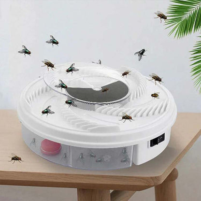 Eco-Friendly Fly Trap
