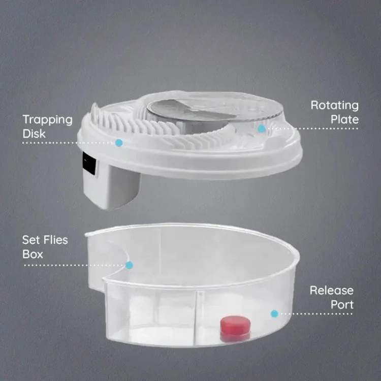 Eco-Friendly Fly Trap