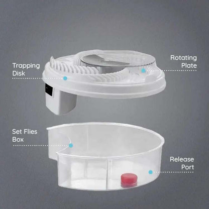 Eco-Friendly Fly Trap