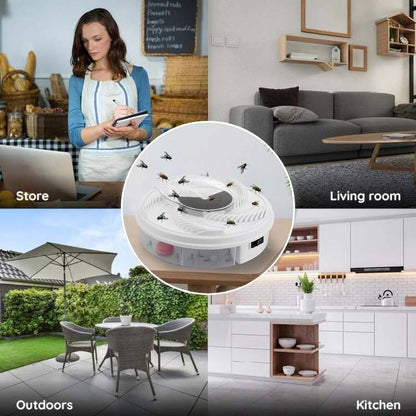 Eco-Friendly Fly Trap