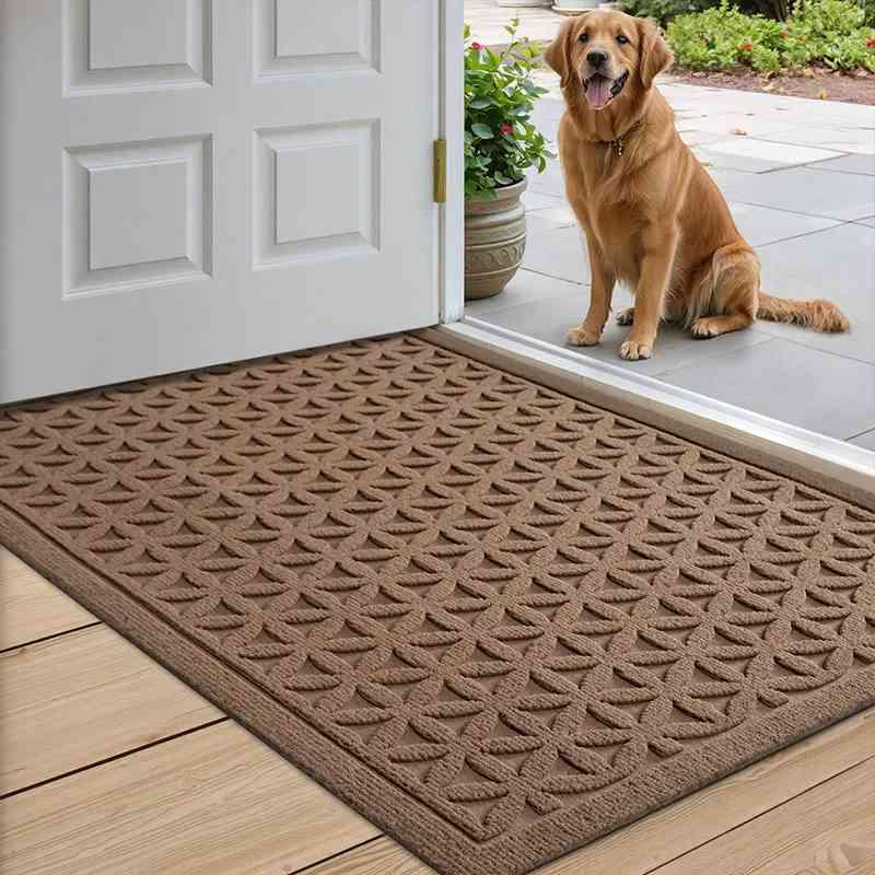 Cozy Water-Absorbent Doormat
